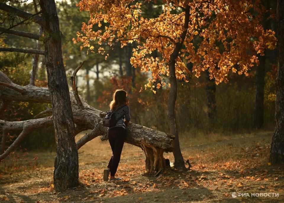 ������� ������ � ����� �� �����������