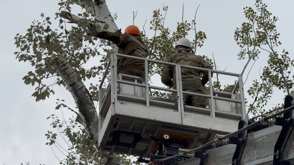 Масштабную обрезку деревьев провели сегодня специалисты Службы городского хозяйства в районе ул. Горького, 22. Для работы задействовали специальную 45-метровую автовышку Масштабную обрезку деревьев провели сегодня специалисты Службы городского хозяйства в районе ул. Горького, 22. Для работы задействовали специальную 45-метровую автовышку