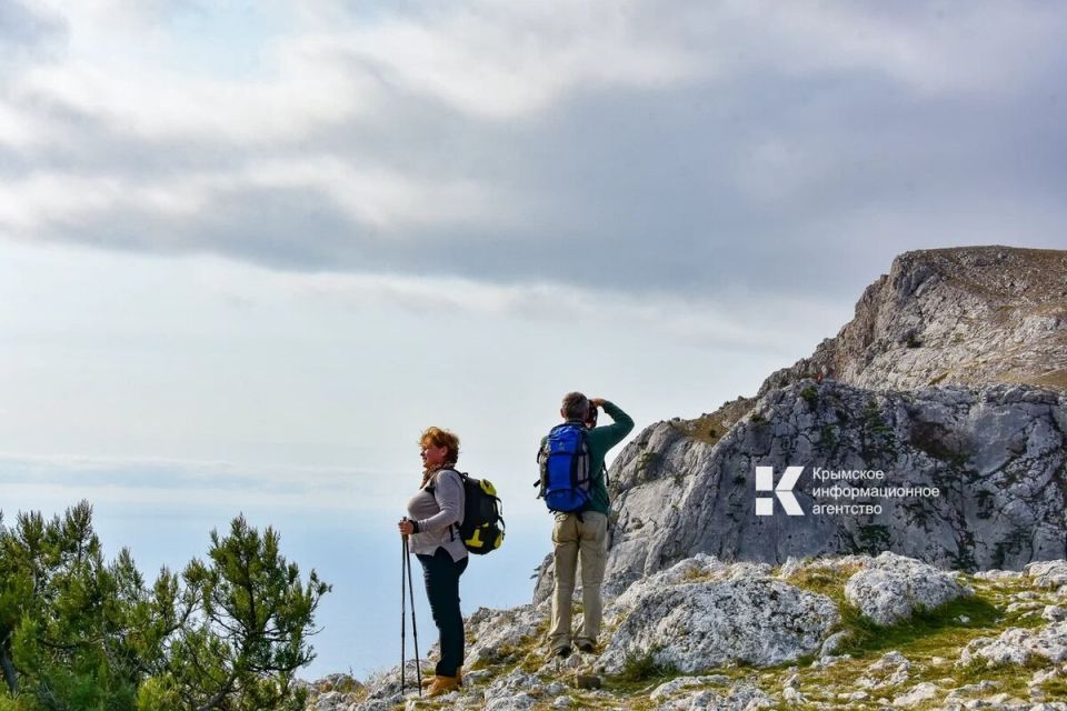 �� ���������� ���������������� ���������� ����������� ���������� �����-������ ����� �������� ��� ��������� 20 ������������� ��������� � ����