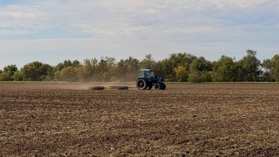 ����� ������: � ������������ ������ ������������ ��� ������ �������