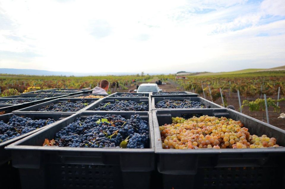 ������� �������: ��������� �������� �������������������� ����������� ������������ ������, ��� ��� �������� ���������� � ���������� ������� �������� ��������