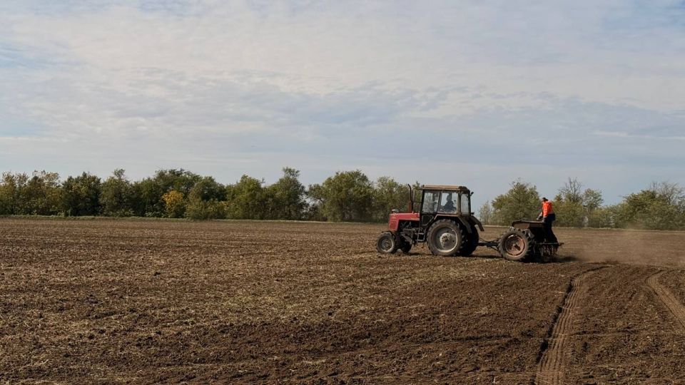 ����� ������: � ������������ ������ ������������ ��� ������ �������