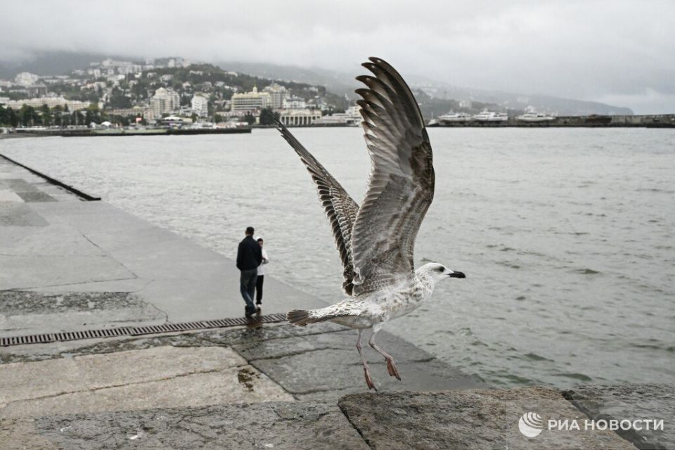 ������� ������ � ����� �� �������