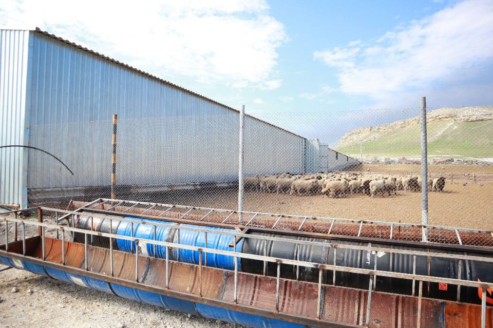 ������� �������: ��������� �������� �������������������� ����������� ������������ ������, ��� ��� �������� ���������� � ���������� ������� �������� ��������