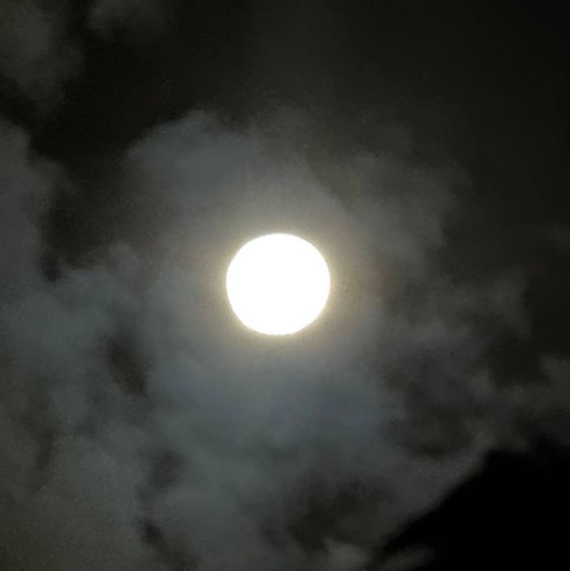 ������ ������ ������� ������ ������� ������ ������� ����������