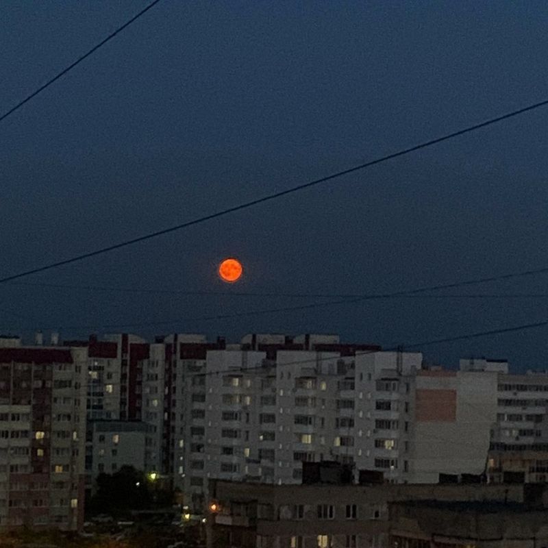 Владимир Рогов: Ярчайшее суперлуние взошло на небо Владимир Рогов: Ярчайшее суперлуние взошло на небо