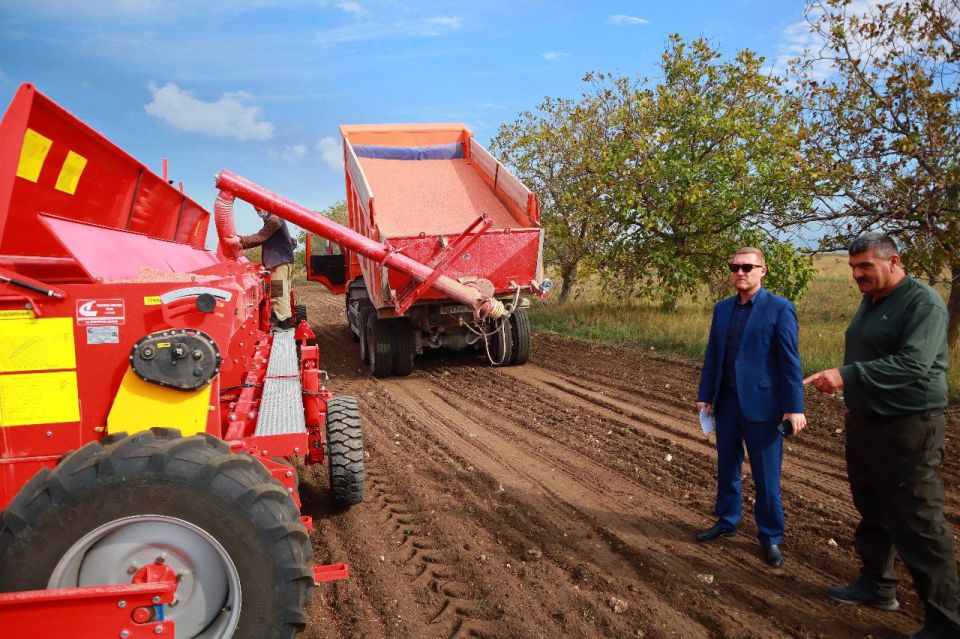 ������� �������: ��������� �������� �������������������� ����������� ������������ ������, ��� ��� �������� ���������� � ���������� ������� �������� ��������