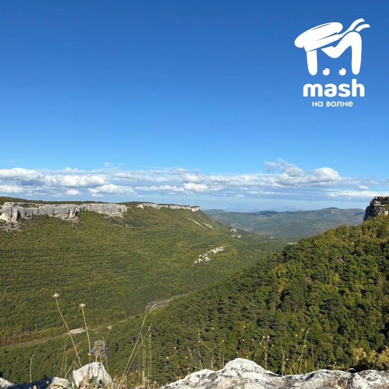     ,  Mash        ,   ,  ,   