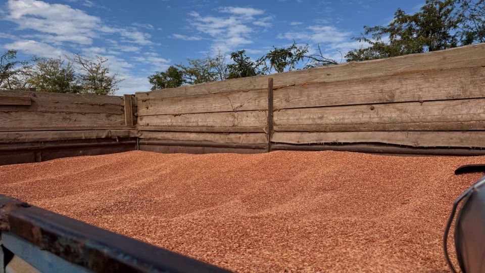 ����� ������: � ������������ ������ ������������ ��� ������ �������