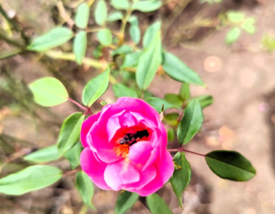 � ������ �����, �������!. ������ ��� �� ������ ������� � ������������, ��������� ��������� �����, ���������� ����� � ���� ���� ���� �� ��������! ������� � �������� ������� (�������� ��������� �����), t + 14 - +17, �����...