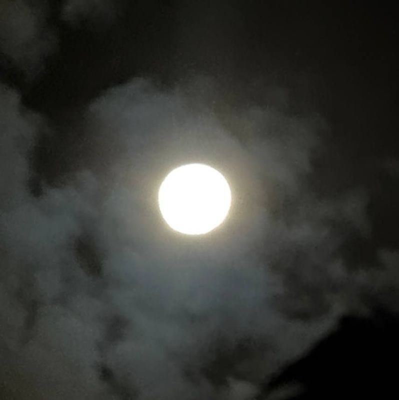 Владимир Рогов: Ярчайшее суперлуние взошло на небо Владимир Рогов: Ярчайшее суперлуние взошло на небо