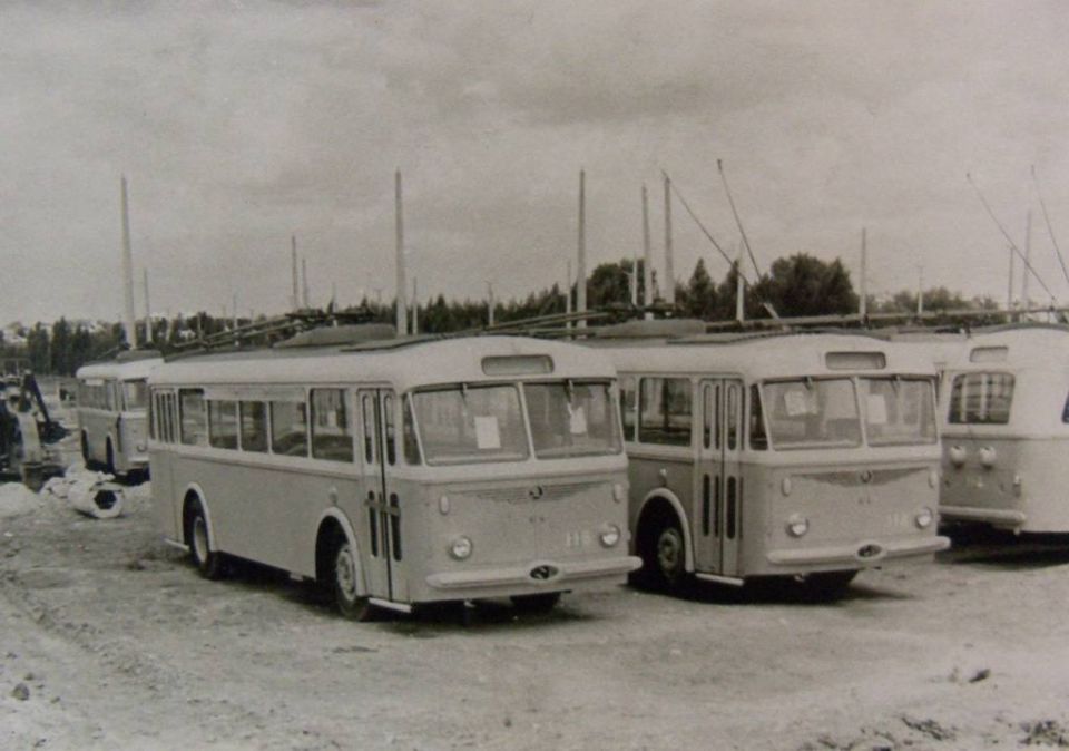 7  1959   ,      
