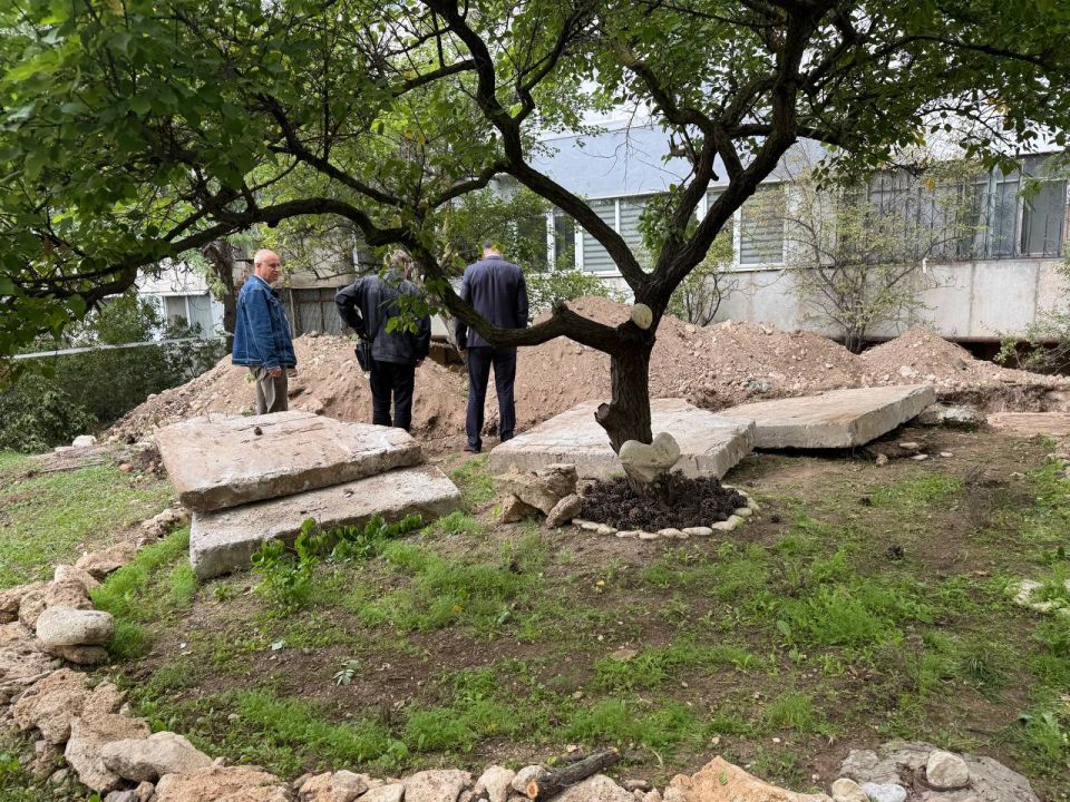 ��������� �������: �������� ��������� � ������������ �� ������� �� ������� �� ���������� � ������������ ������������� ������ 2024-2025 �����