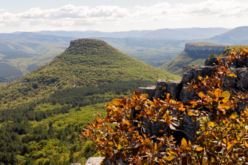  :  180     2028                   ...