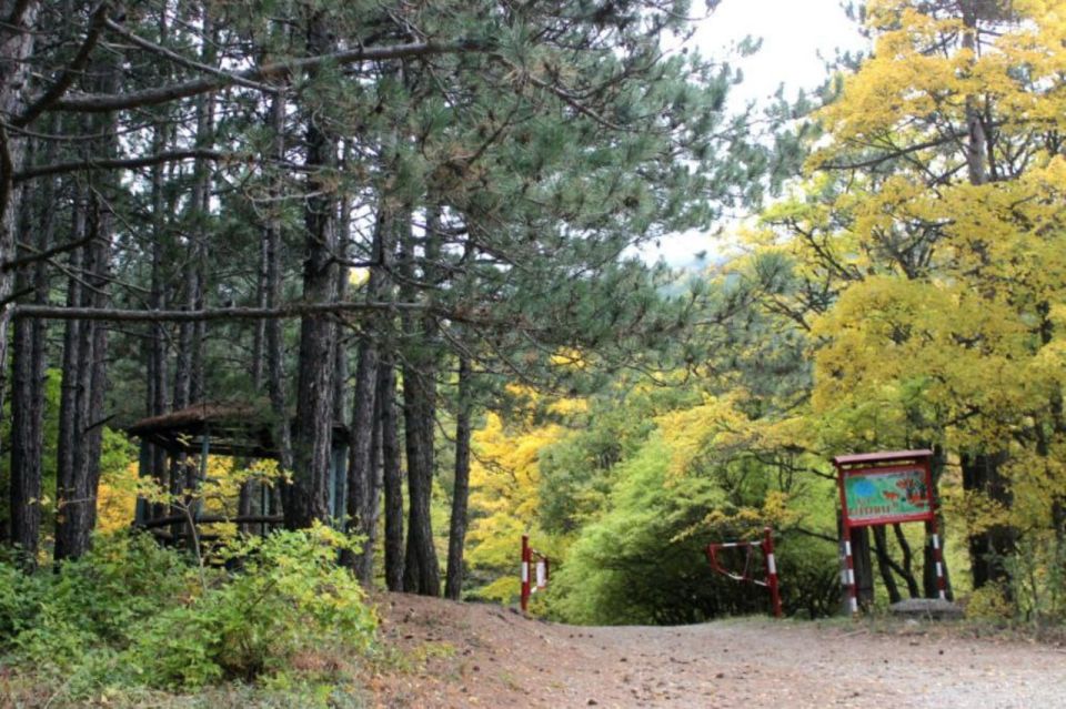 В Крыму снято ограничение на посещение лесов и въезда в них транспортных средств