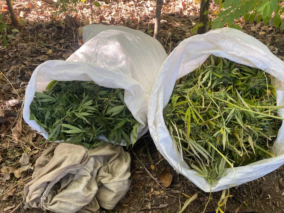 ����������� � ��������� ������ ������ ����� � ���������������