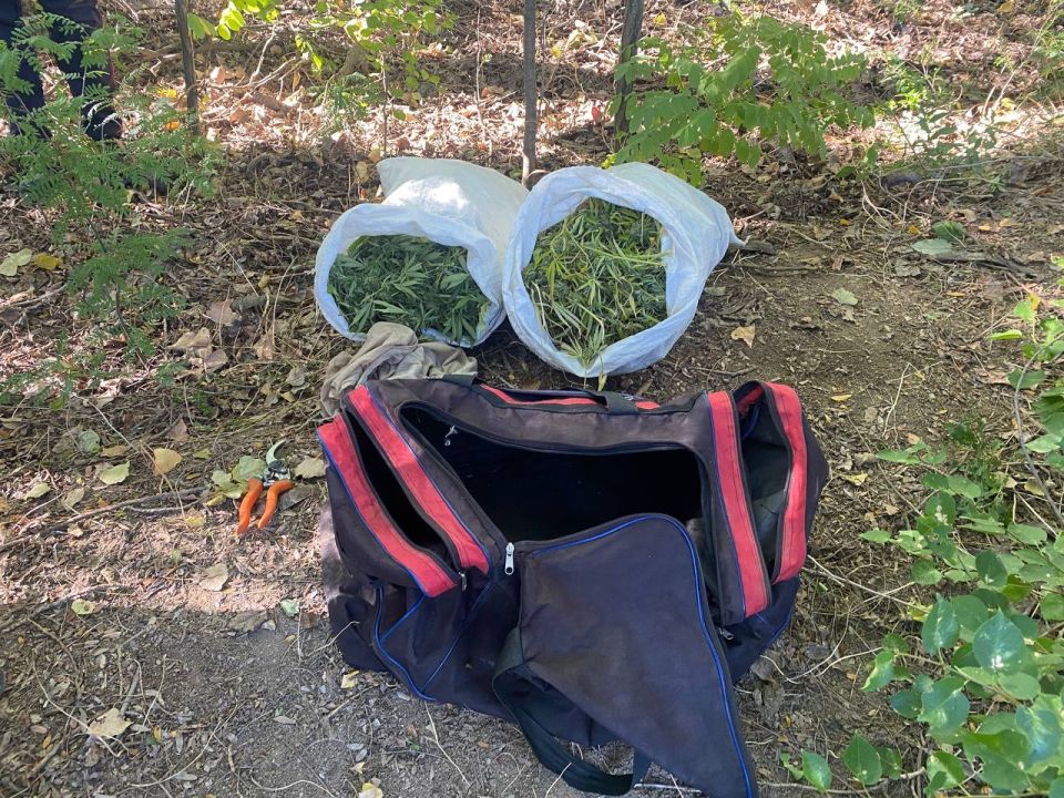 � ��������� ������ ��������� ���� ������� � ������ ����������