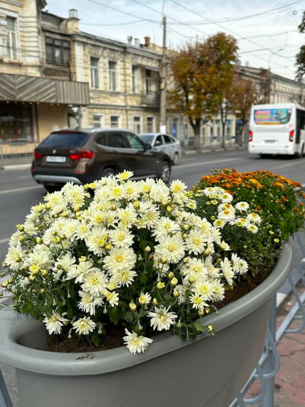 Городские службы украшают Симферополь осенними красками Городские службы украшают Симферополь осенними красками