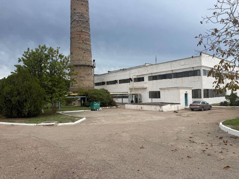 ��������� �������: �������� ��������� � ������������ �� ������� �� ������� �� ���������� � ������������ ������������� ������ 2024-2025 �����