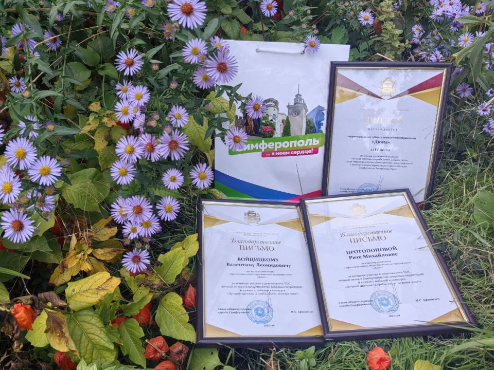 ТОС «Дюна» — победитель муниципального конкурса «Лучший цветник» ТОС «Дюна» — победитель муниципального конкурса «Лучший цветник»