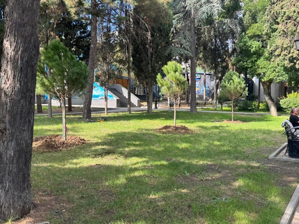 В Алуште активно высаживают осенние растения В Алуште активно высаживают осенние растения