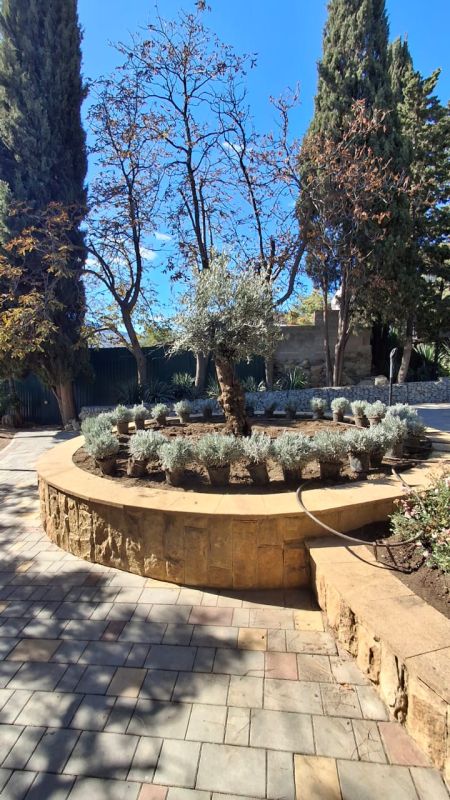 В Алуште активно высаживают осенние растения В Алуште активно высаживают осенние растения