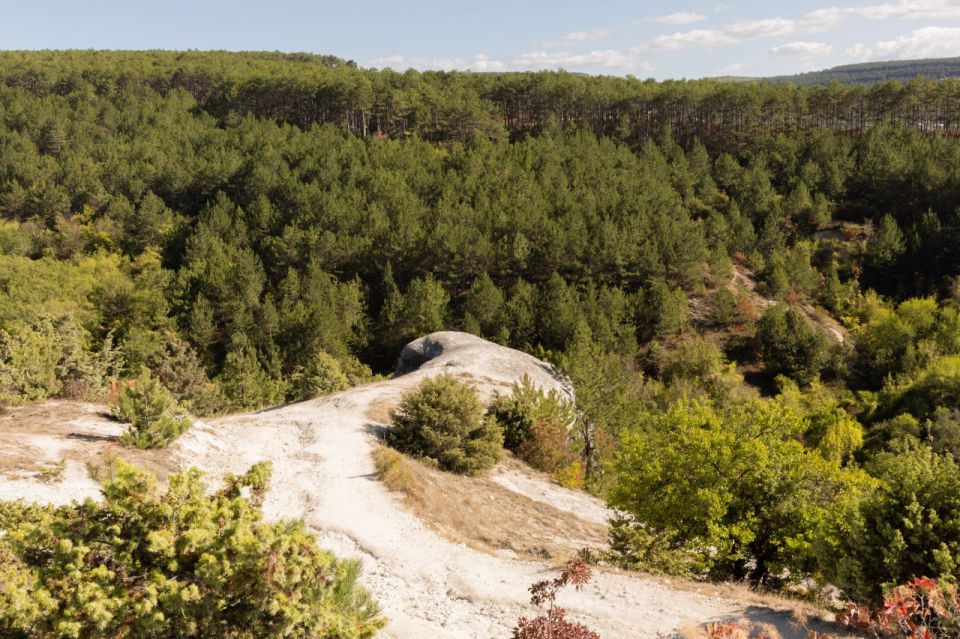  :  180     2028                   ...