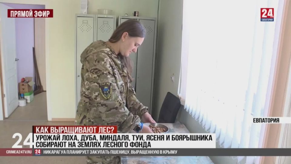 ��������� �������: ����� ���������� ���� ������ ������ �� ����� ��������� � ���������� ����� �������, ���