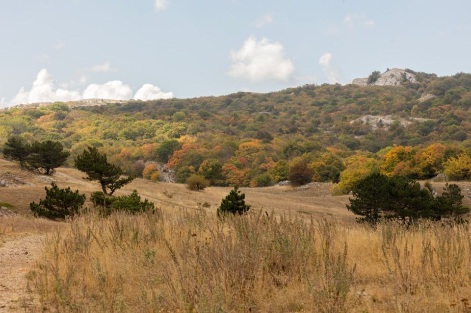  :  180     2028                   ...