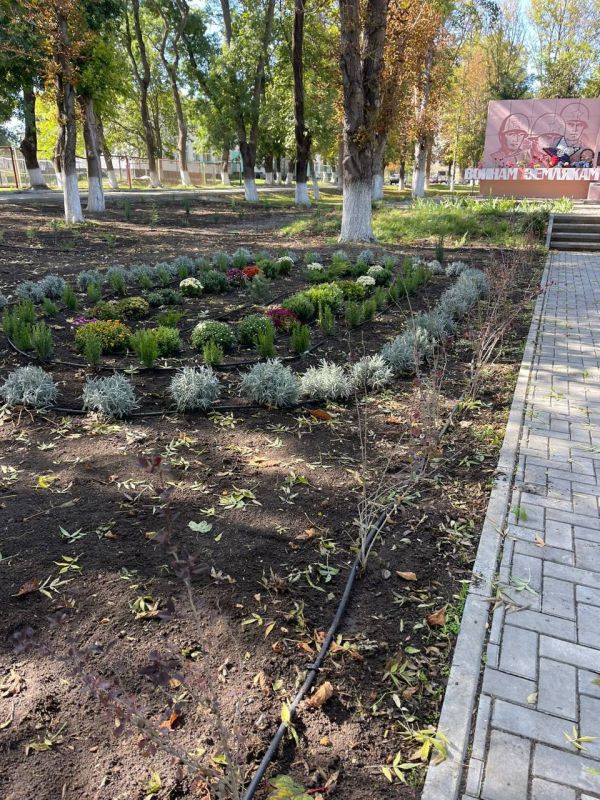 ������� �������: ����������� ���������������� ����������� ��������� ��������� ������� ������������ ������ � ���� �� �����������, �������� ������� ���������� �������� � �������� ��� ������ ��������� � ���������������...