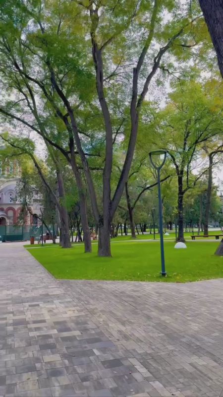 Когда листья неспешно кружатся в танце, а солнце ласково скользит по аллеям — самое время открыть для себя спокойствие и красоту обновленного парка Шевченко