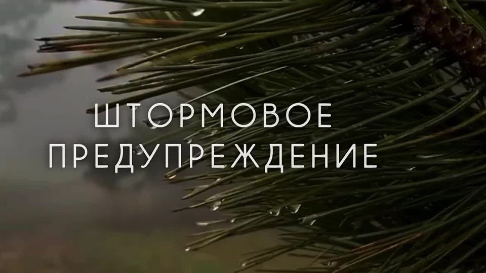 Экстренное предупреждение об опасных гидрометеорологических явлениях по Республике Крым на 10-11 октября 2025 года