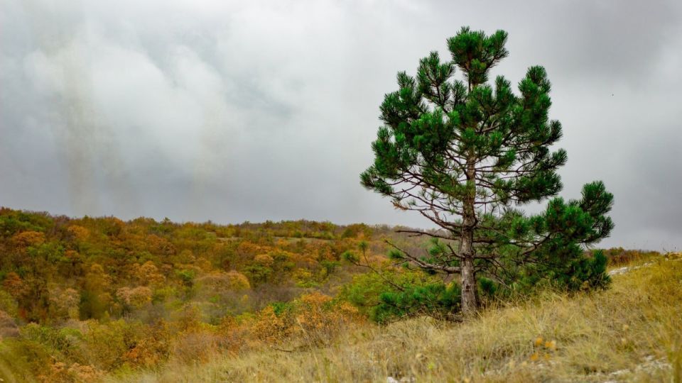 Золотая осень в Крыму: красивые места для фото Золотая осень в Крыму: красивые места для фото