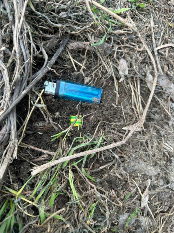 В Симферополе перед судом предстанет местный житель по обвинению в покушении на сбыт синтетических наркотиков