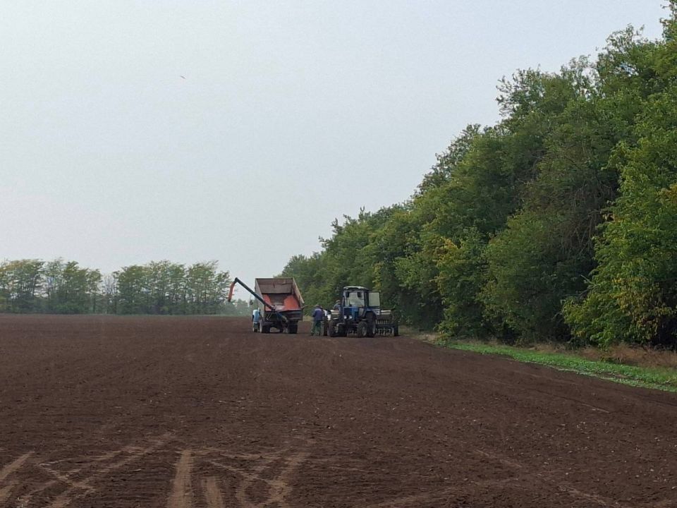 ����� ������: ������ ������ ������� � ������������� �� "������ "�����" ���������� ���������