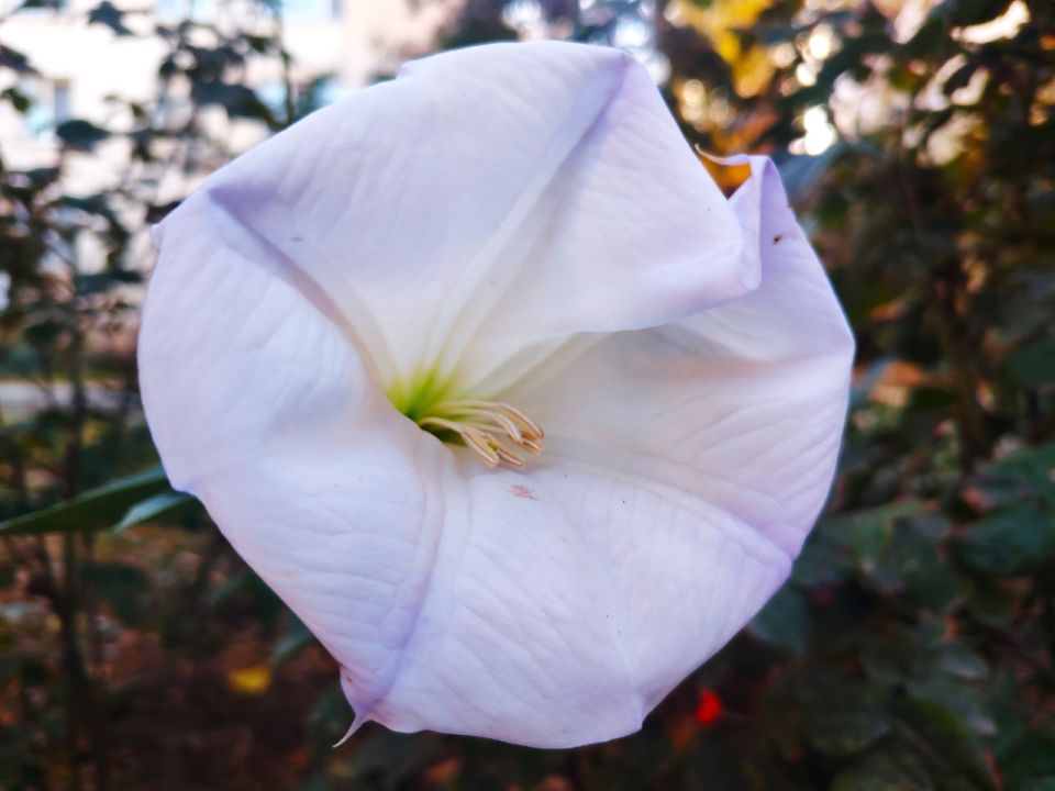 � ������ �����, �������!. ������ ������� � ����������� ����! ����� ��� ���� �������� � ����-�� ��������, � ���������� ���-�� �������������! ������� � �������� ������� � ������������ (�������� ��������� �����), t + 15 - +18...