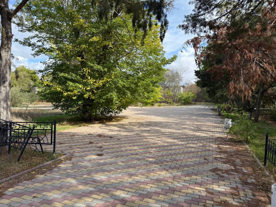  :                ,    .  . 