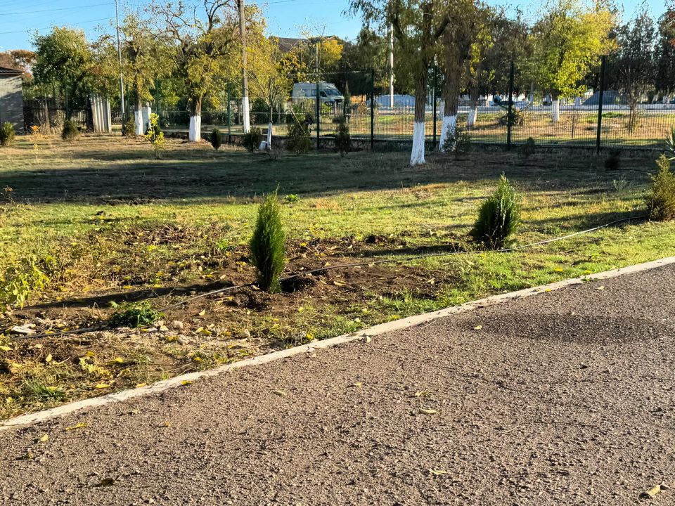 ��������� �������: ������� � ������� ������� ������� ����������� ������� ����� ����� �. ������, ����� ����� ������������ � ��������� �������� � ����� ����� ����������