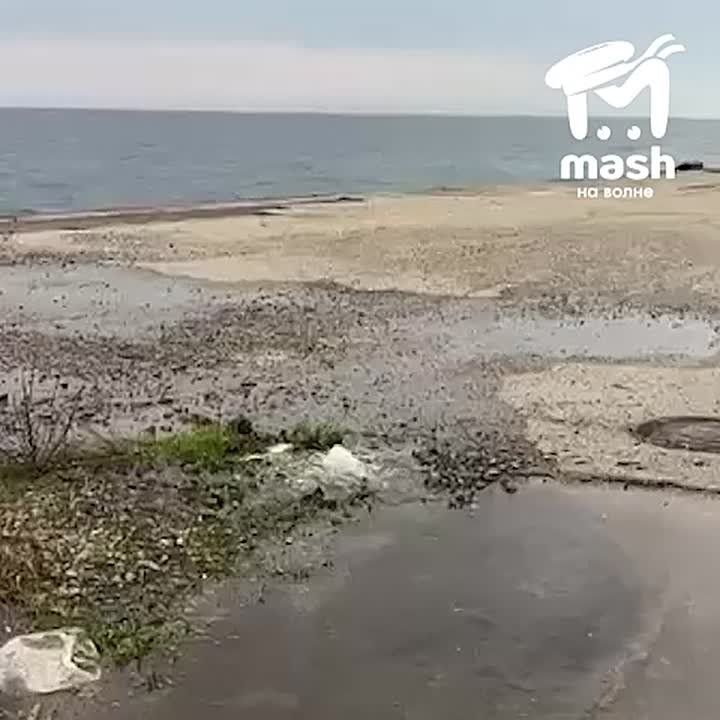      :      