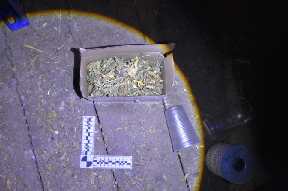 Житель Ленинского района предстанет перед судом по обвинению в выращивании конопли на территории домовладения умершего родственника Житель Ленинского района предстанет перед судом по обвинению в выращивании конопли на территории домовладения умершего родственника