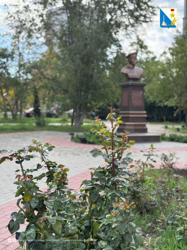 В любую погоду сотрудники «Парков и скверов» трудятся на зеленых территориях города В любую погоду сотрудники «Парков и скверов» трудятся на зеленых территориях города