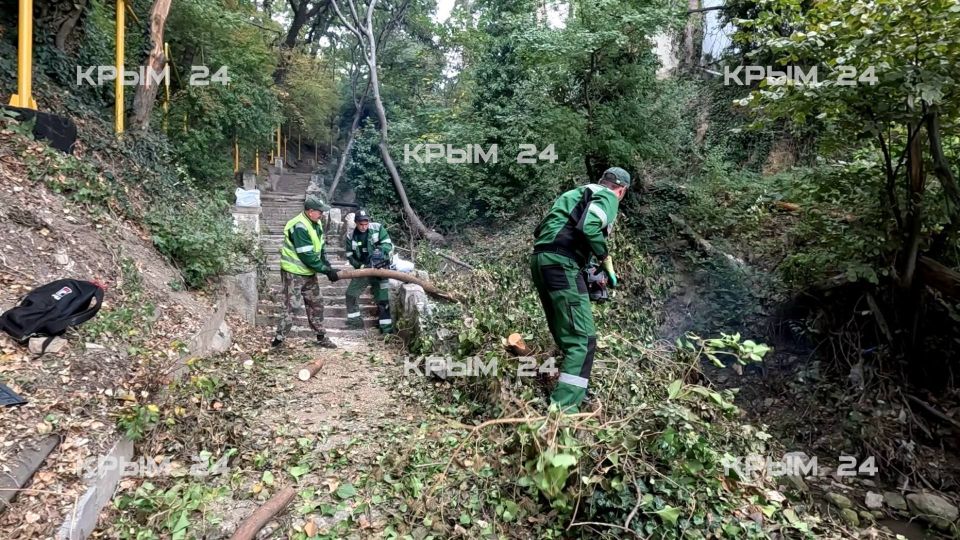 Участок русла реки Узень-Чешме расчистили в Кореизе Участок русла реки Узень-Чешме расчистили в Кореизе