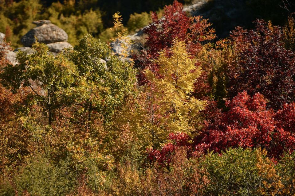 Золотая осень в Крыму: красивые места для фото Золотая осень в Крыму: красивые места для фото