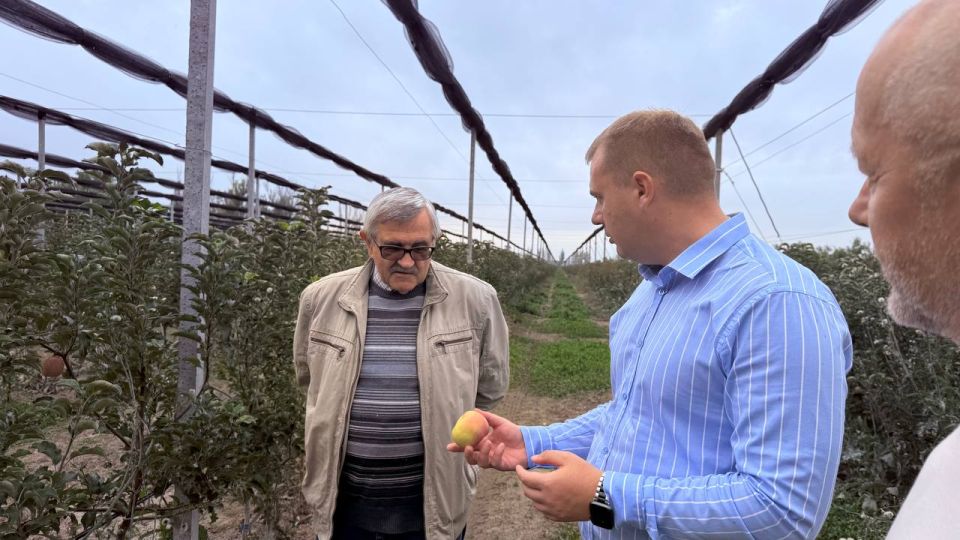 ����� ������: ������ ������ ������� � ������������� �� "������ "�����" ���������� ���������