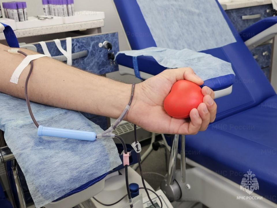 Подари жизнь. Становись донором!