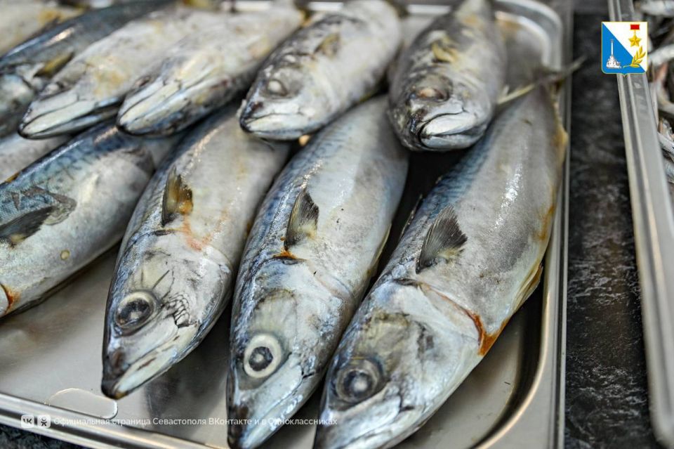 ����� 7 ���� ����. ��������� ������������� �� 2 ������ �� ��������� ����� � ������ ����� ������� �����