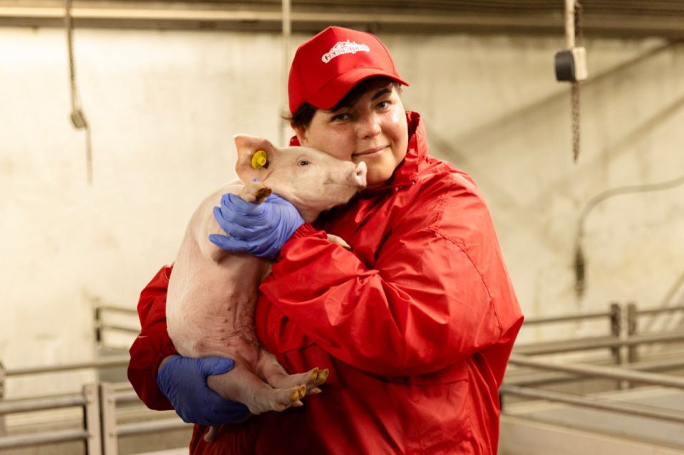  :          ,       ,     ,    