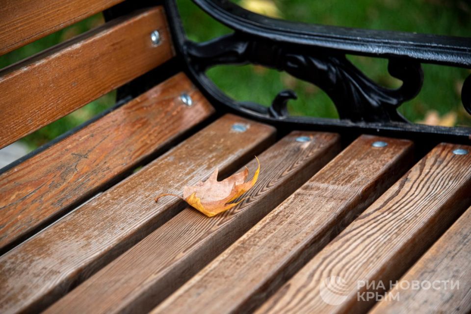 ������� ������ � ����� �� �����������