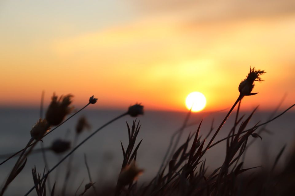 ������� ������ � ����� �� 12 �������