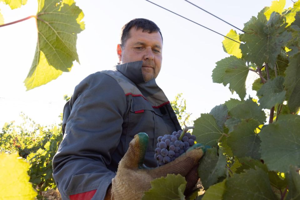  :          ,       ,     ,    